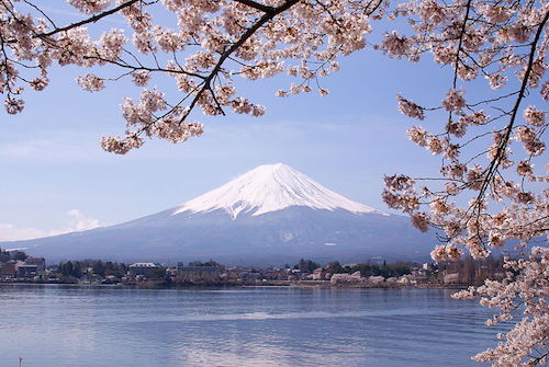 Lake_Kawaguchiko_Sakura_Mount_Fuji_3.JPG
